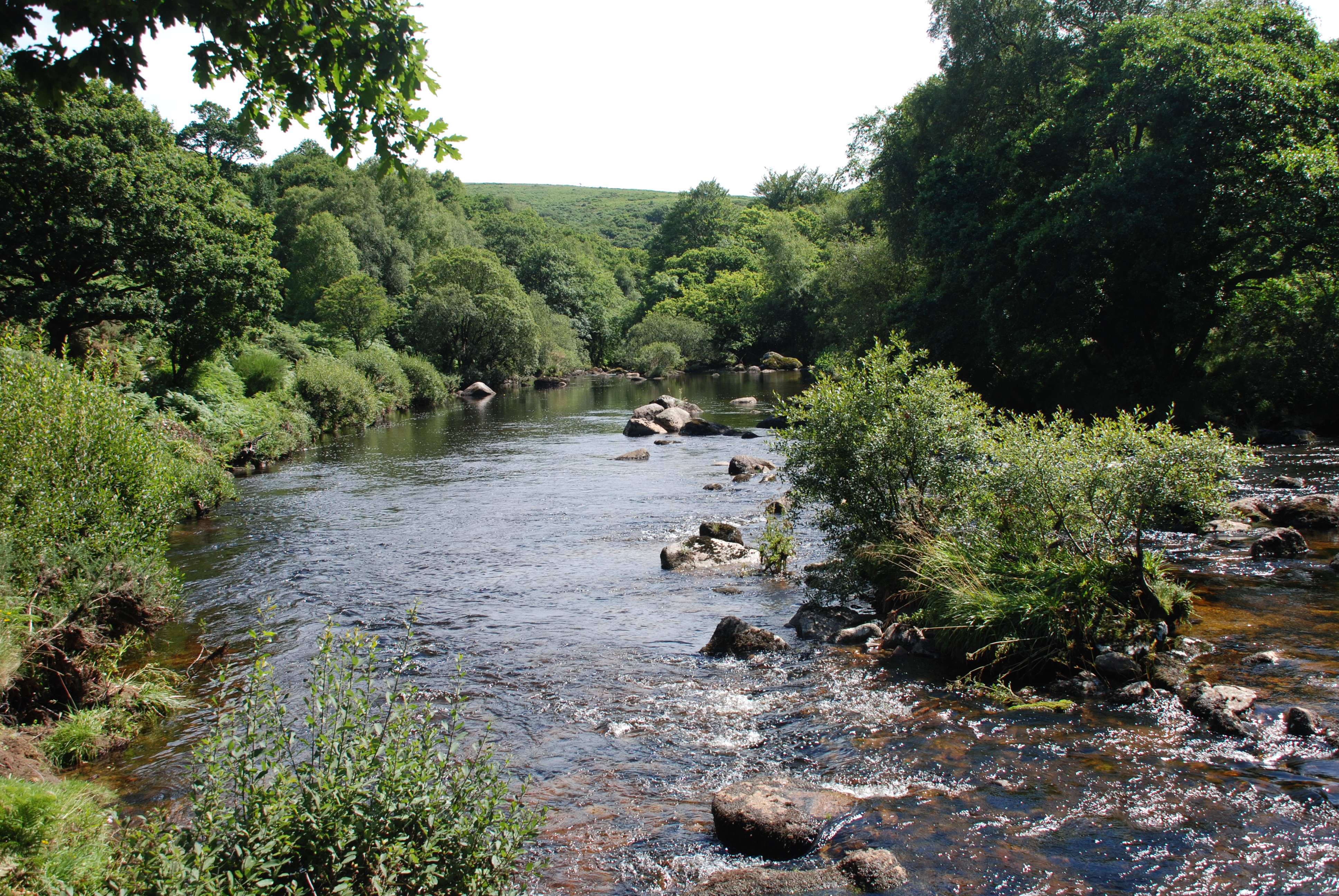 The River Dart near Dartmeet, Dartmoor